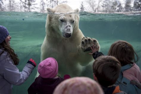 The Calgary Zoo - Wilder Institute/Calgary Zoo