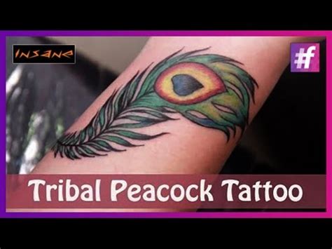 Peacock Feather Tattoo Stencil | sincovaga.com.br