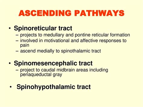 Conduction speed. - ppt download