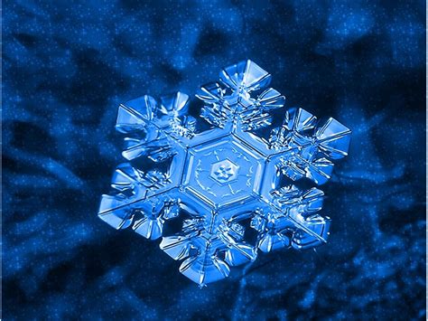 Pin by Roberto Castillo on Fractals | Snowflakes art, Art, Snowflakes