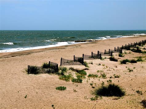 Best Beaches in Charleston - Speed Boat Adventures