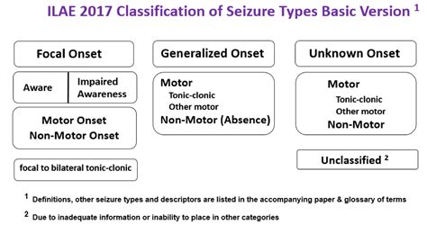 Epilepsy Types