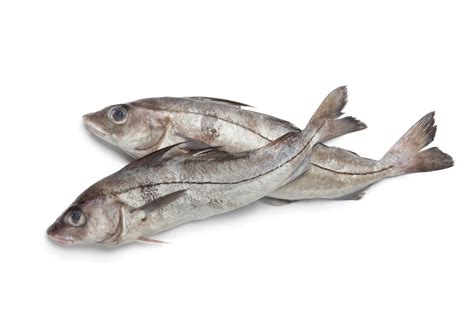 Comparison of Haddock and Cod Fish - Nutrineat