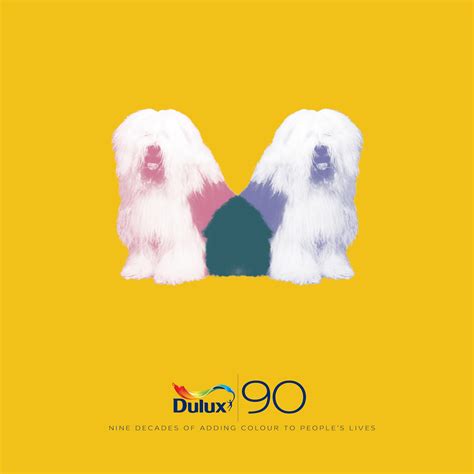 Celebrating 60 Years of the Dulux Dog | Old English Sheepdogs | Dulux