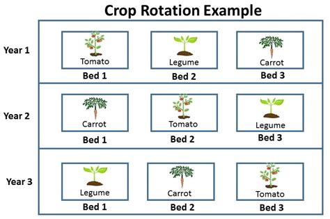 Crop Rotation | Gardening in the Panhandle