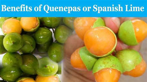 10 Incredible Benefits Of Quenepas | Health Benefits - Smart Your ...