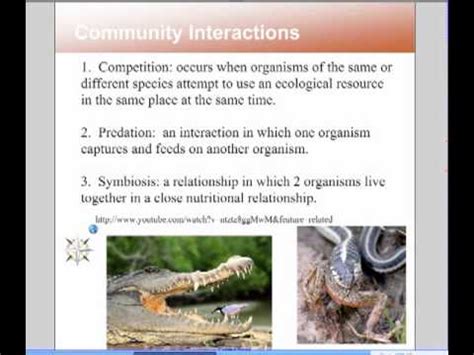 Ecology-Biotic, Abiotic Factors and Community Interactions - YouTube