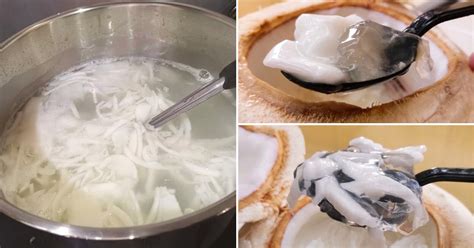 Here's How To Make Refreshing Coconut Jelly Using Only 5 Ingredients ...