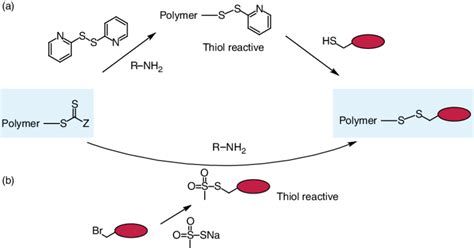 Scheme 9. Reversible oxidation of thiol homo-telechelic polymers to... | Download Scientific Diagram