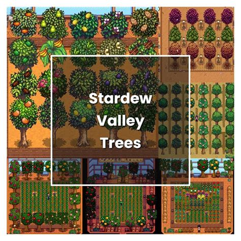 How to Grow Stardew Valley Trees - Plant Care & Tips | NorwichGardener