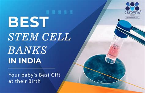 List of Best Stem Cell Banks in India - AtoAllinks