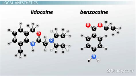 Lidocaine vs. Benzocaine - Video & Lesson Transcript | Study.com