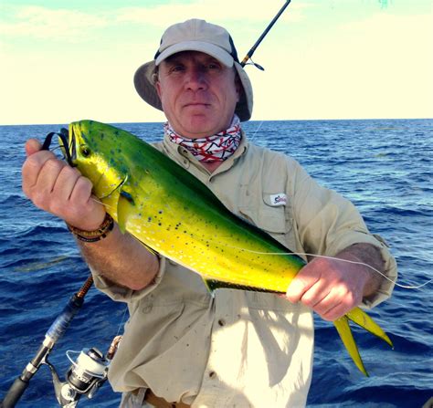 December dorado « Fish the Dream | Florida Fishing Holidays