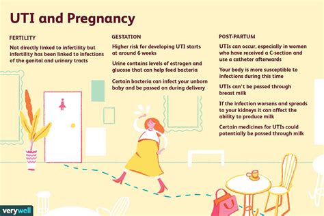 UTI and Pregnancy: Fertility, Gestation, and Postpartum