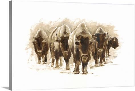 Herd of Bison I Wall Art, Canvas Prints, Framed Prints, Wall Peels ...