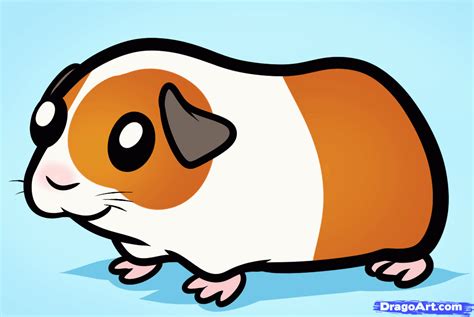 Cute Guinea Pig Cartoon