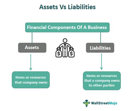 Assets vs Liabilities - Meaning, Examples & Types