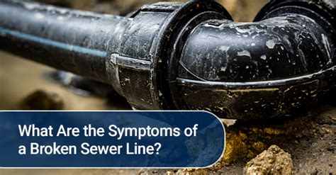 What Are the Symptoms of a Broken Sewer Line? | Brothers Plumbing