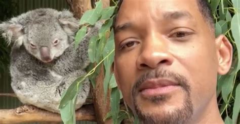 Will Smith Needs His Own Nature Documentary Series Right Now | HuffPost