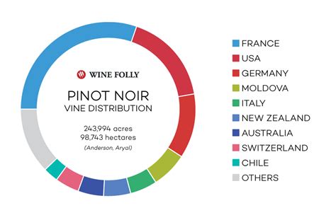 The Comprehensive Guide to Pinot Noir | Wine Folly