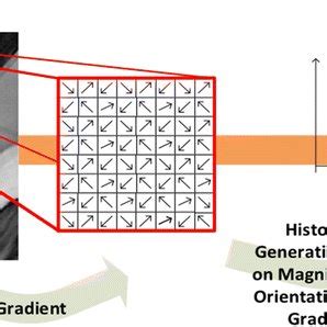 An overview of the HOG algorithm steps [35] | Download Scientific Diagram