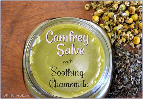 Comfrey Salve: A DIY Comfrey Salve with Chamomile for Sunburn & More!