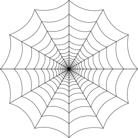 Telaraña redonda regular PNG transparente - StickPNG