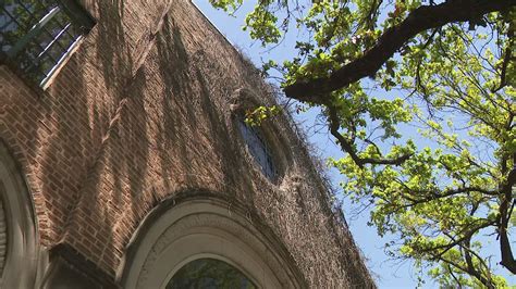 Here's why the Freed-Montrose Neighborhood Library is closed | khou.com