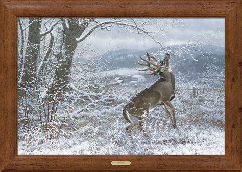 October Mist Whitetail Deer Framed Canvas Art Print Wall Art - Wall ...