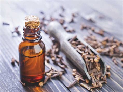 Clove Oil for Toothache: Does It Work?