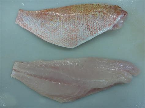 FROZEN SKIN-ON, BONELESS RED SNAPPER FILLET