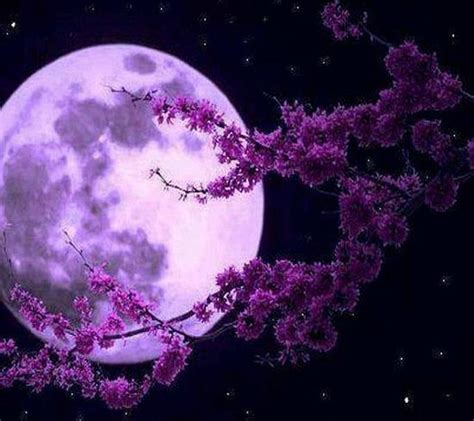 Download Purple Moon Wallpaper by _Savanna_ - 25 - Free on ZEDGE™ now ...