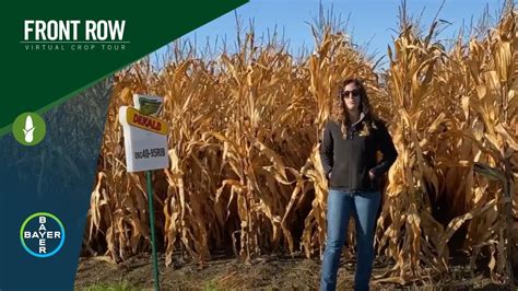 The Front Row: DEKALB® Corn Hybrid DKC40-95RIB - YouTube