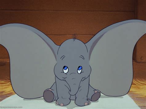 Disney's Dumbo for live action remake with possible flying elephant | The Independent