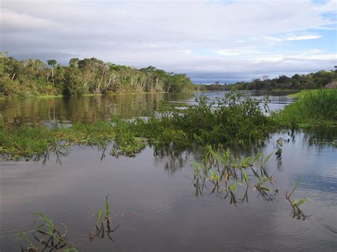 Floodplain Channel in the Amazon | NASA SWOT