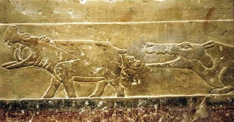 Crocodiles in ancient Egypt: Feared and revered