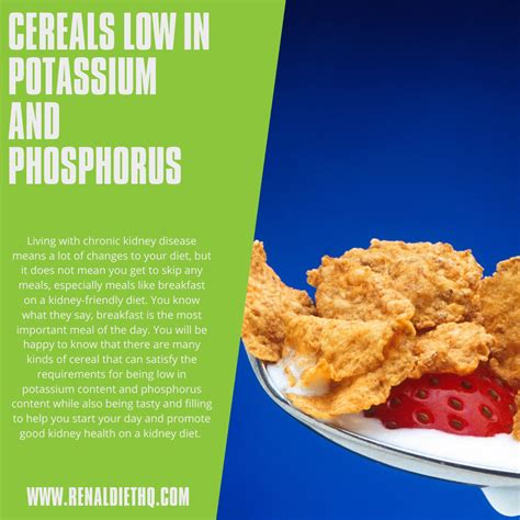 Cereals Low in Potassium and Phosphorus | Renal Diet HQ