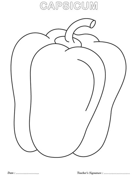 Capsicum clipart 20 free Cliparts | Download images on Clipground 2024