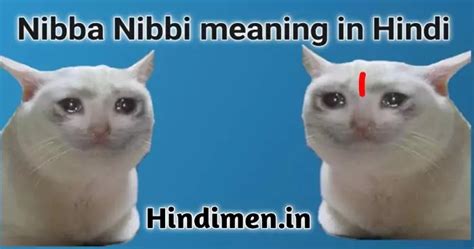 Chapri Nibba Nibba meaning in hindi । निब्बा निब्बी मीम्स शायरी जोक्स