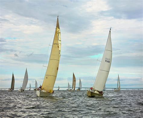 Sail Boats Racing, Chesapeake Bay Photograph by Greg Pease - Pixels