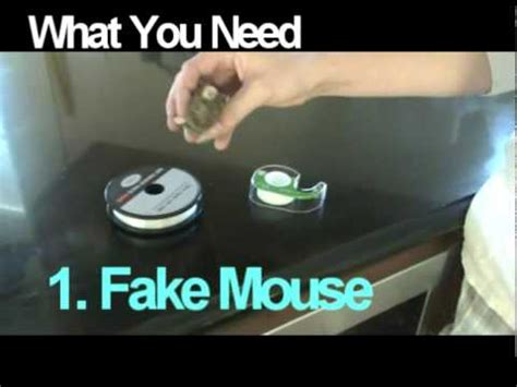 Fake Mouse Prank - YouTube