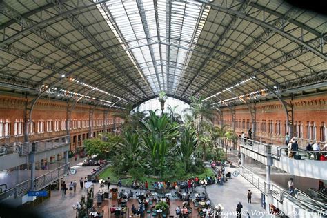 Madrid, tropical garden in the Atocha station - Spain