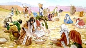 Manna From Heaven - A Timely Blessing - Our Daily Bread A Daily Miracle