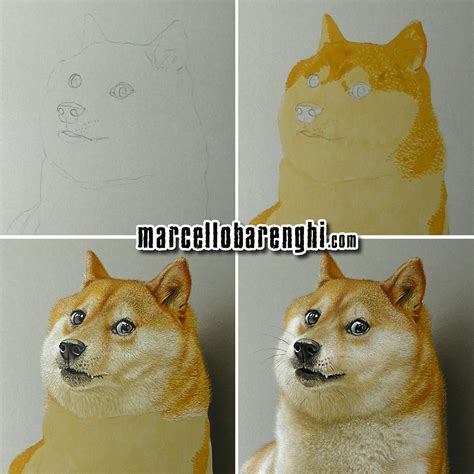 wow such Doge drawing :: Behance