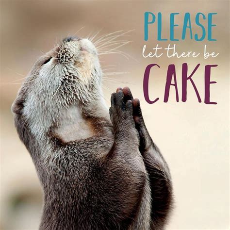 Praying Otter Birthday Card | Ocado