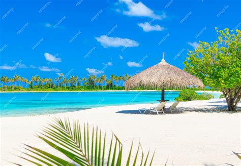 Premium Photo | Tropical beach in Maldives