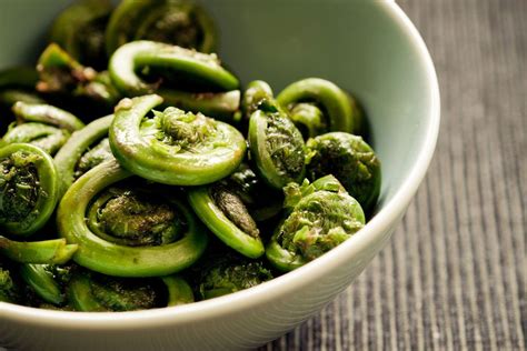 Steamed Fiddlehead Ferns Recipe