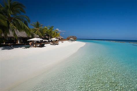 Kuredu Island Resort | Scuba Tours Worldwide | Island resort, Maldives resort, Resort