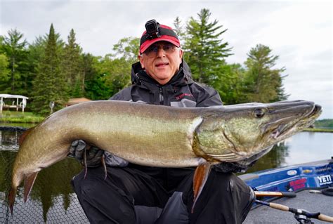 Keys To Early Season Musky Success