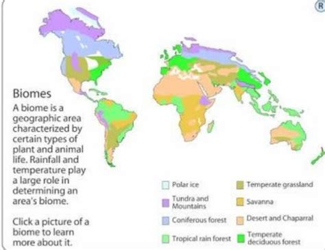 the picture of world map marking with tropical evergreen forest and tropical deciduous forests ...